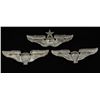 Image 2 : (3) USAAF WWII Army Air Corps Wing Grouping