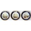 Image 1 : Set of three early C20th Royal Worcester porcelain plates with dark blue & gilt...