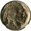 Image 1 : 1914 Buffalo Nickel. NGC graded MS 64.