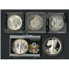 Image 1 : Silver Dollars & Silver Eagles.