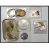Image 1 : 1909 Hudson-Fulton Celebration Assortment.
