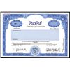 Image 1 : PayPal, Inc. Specimen Stock Certificate - Pre-Ebay.