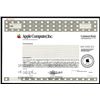 Image 1 : Apple Computer Inc., 1999 Specimen Stock Certificate.