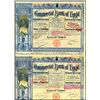 Image 1 : Commercial Bank of Egypt, ca. 1948, (2) Stock certificates, Judaica Related.