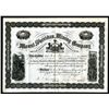 Image 1 : Mount Sheridan Mining Co. 1881 Stock Certificate.