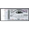 Image 1 : Niagara Falls International Bridge Co., 18xx (ca.1850's), Specimen Stock Certificate.