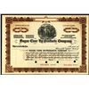 Image 1 : Sugar Cane By-Products Co., 1910 Specimen Stock Certificate.