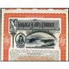 Image 1 : Niagara Falls Power Co. 1909 Specimen Bond.