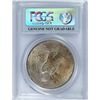 Image 4 : 1923 PEACE DOLLAR PCGS GENUINE VAM 1D WHISKER CHEEK