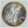 Image 2 : 1999 AMERICAN SILVER EAGLE PCI MS-67
