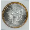Image 3 : 1999 AMERICAN SILVER EAGLE PCI MS-67