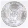 Image 3 : 2004 AMERICAN SILVER EAGLE, NGC MS-69