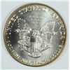 Image 2 : 1991 SILVER AMERICAN EAGLE