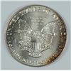 Image 2 : 1993 SILVER AMERICAN EAGLE