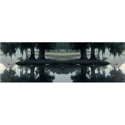 Rebecca Rowe Signed Nature Art Print Misty Morning