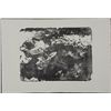 Image 1 : Betty Snyder Rees Original Modern Art Print -Tide Pool