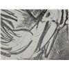 Image 2 : Betty Snyder Rees Original Signed Print -Pelican