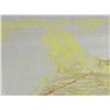 Image 2 : Betty Snyder Rees Original Large Woodcut Print Birds