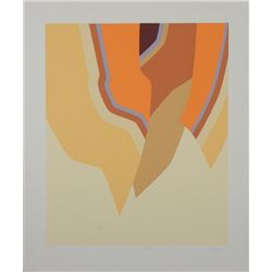 Doug Danz Signed Ecuador Landscape Proof Print Quito II