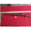 Image 3 : SAVAGE ARMS 4C/R/22