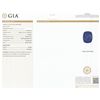 Image 7 : 14KT White Gold GIA Certified 29.75ct Tanzanite and Diamond Ring