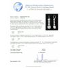 Image 9 : Platinum EGL Certified 18.17ctw Diamond Earrings