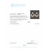 Image 6 : 14KT Rose Gold 0.88ctw Diamond Earrings