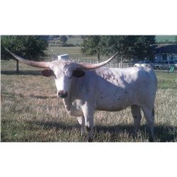 D/O Fashion's Respect