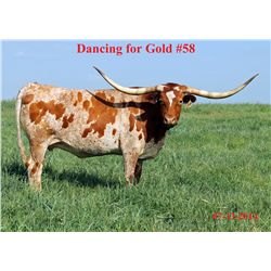 RP Dancing For Gold