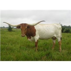 SCRATCHED- D/O Rememberance