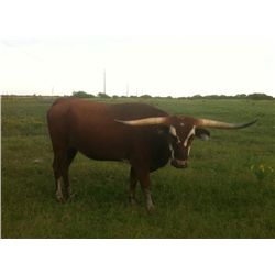 One For The Money SS