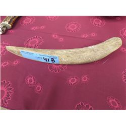 NATIVE BONE WEDGE