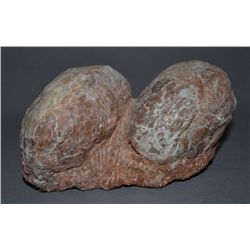 NEST OF DINOSAUR EGGS