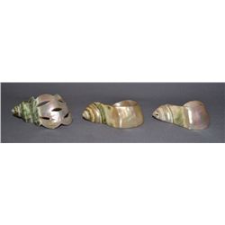 THREE PUEBLO CARVED SHELLS