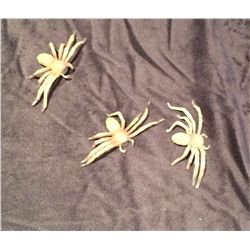 Arachnophobia – Movie Prop (Seen ON SCREEN!!!)
