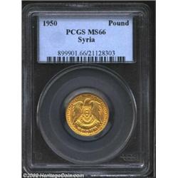 Gold Pound 1950, KM86, MS66 PCGS. Important notice: We expect to be auctioning lots at the rate of 2