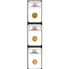 European Gold Trio: Belgium 20 Francs 1865, XF45 NGC, Czechoslovakia Ducat 1933, MS64 NGC and Poland