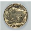 Image 3 : 1938-D BUFFALO NICKEL ANACS MS-66