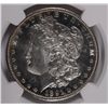 Image 2 : 1891-S MORGAN DOLLAR NGC MS-63