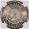 Image 3 : 1891-O MORGAN SILVER DOLLAR, NGC MS-63+