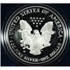 Image 2 : 2006 AMERICAN SILVER EAGLE PROOF w BOX / CERT