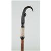 Image 1 : SWISS GOAT ANTLER ALPINE CANE…