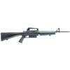 Image 1 : ARMSCOR M1600 22LR 10RD BL-UPC Code: 4806015511113