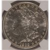 Image 2 : 1903 MORGAN DOLLAR NGC MS-67 (WHITE)