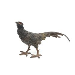 Vienna bronze pheasant