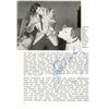 Image 1 : Elvis Presley