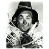 Image 3 : Ray Bolger