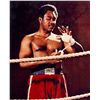 Image 1 : Boxing Collection( Sugar Ray, Foreman,Dempsey,Jones