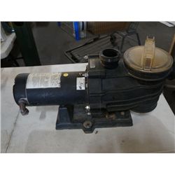 Spa/Pool Pump