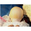 Image 2 : 1982 Horseman Doll